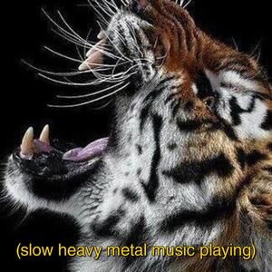 Meet your Posher, Debbie braun